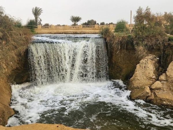 El Fayoum and wadi El Rayan Tours