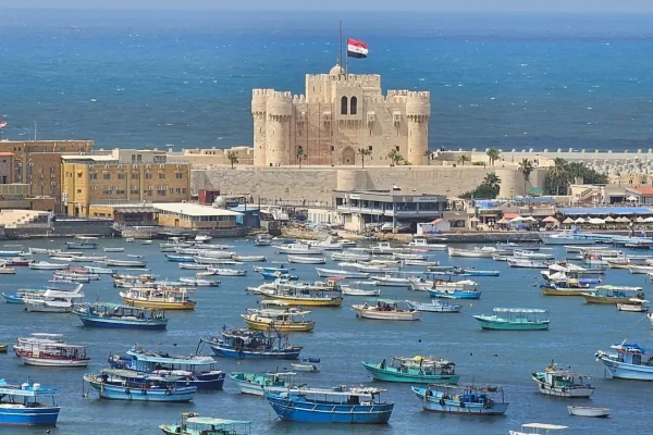 Full day to Alexandria