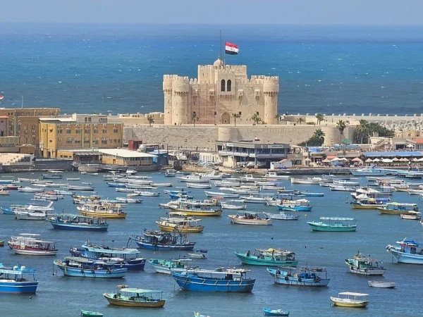 Full day to Alexandria