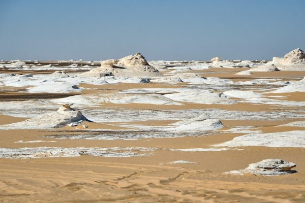 Black & white dessert