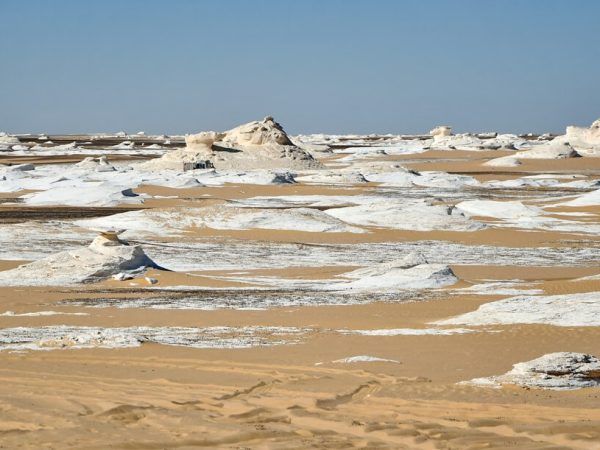 Black & white dessert